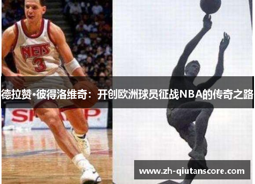 德拉赞·彼得洛维奇：开创欧洲球员征战NBA的传奇之路