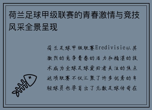 荷兰足球甲级联赛的青春激情与竞技风采全景呈现